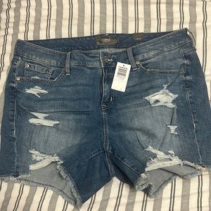 torrid denim shorts NEW